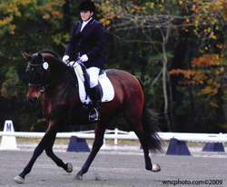 Angie on Wiesling - Hannoverian mare