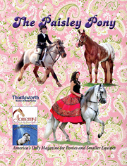 Paisley Pony